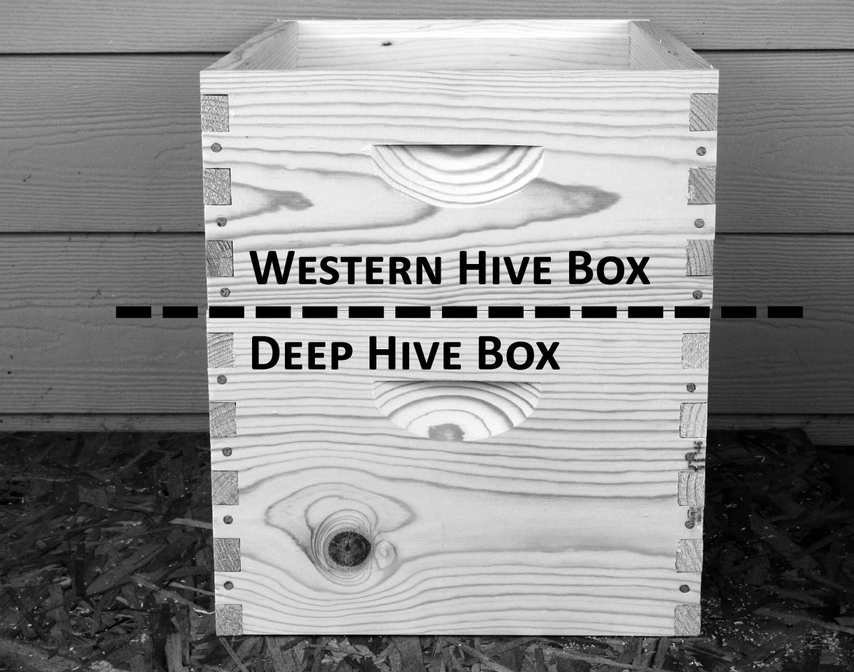  hive boxes. The most important thing to remember is to make sure the